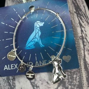 alex and ani dog charm